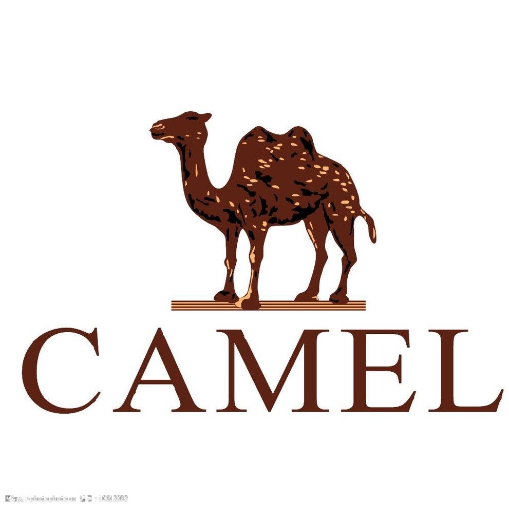 Camel（骆驼）